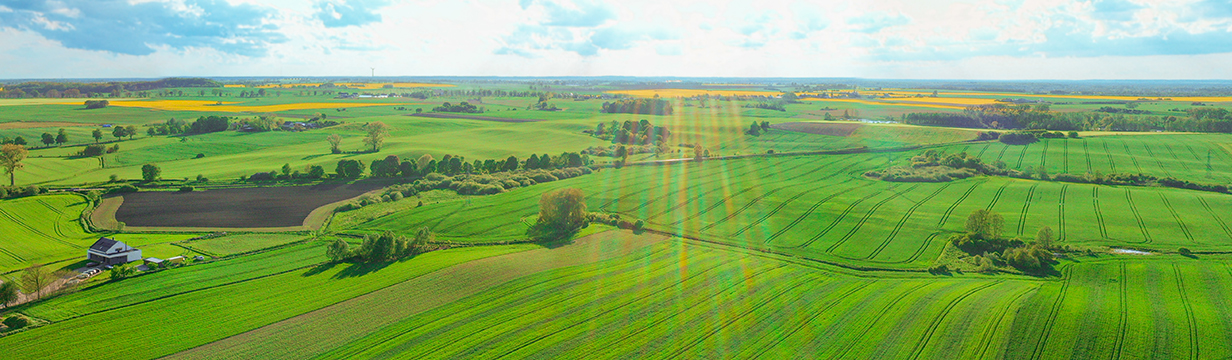 Fotografia w górnej animacji: slider_g1a