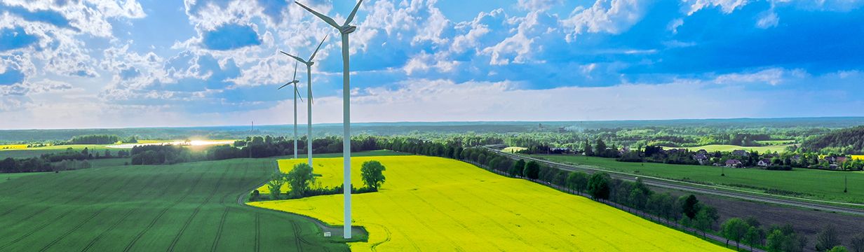 Fotografia w górnej animacji: slider_g2