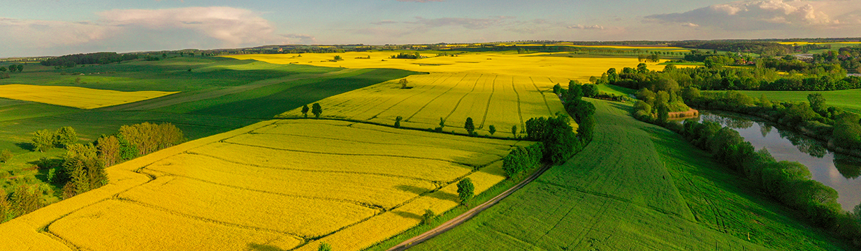 Fotografia w górnej animacji: slider_g4