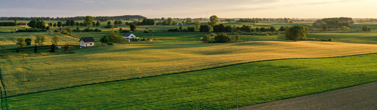 Fotografia w górnej animacji: slider_g6