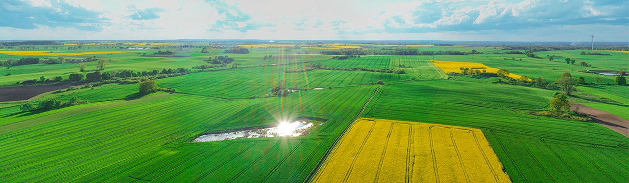 Fotografia w górnej animacji: slider_g7